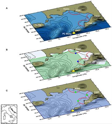 HF Radar Measurements of Surface Waves in the Gulf of Naples (Southeastern Tyrrhenian Sea): Comparison With Hindcast Results at Different Scales